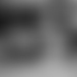 2 pattes (presque) autochtone …