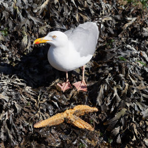 A l’heure du déjeuner…