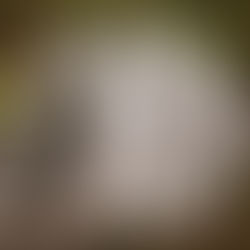 La ronde des cascades 💦🌿