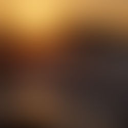 Premiers rayons sur l’océan 🌅