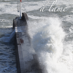 Vague à lame 