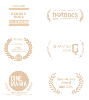 Laurier des prix gagnés en festivals par le film "Une jeunesse française"