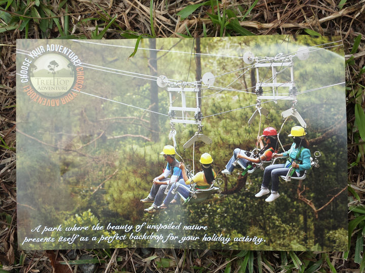 Baguio Tree Top Adventure: Kakaibang Karanasan ngayon Summer