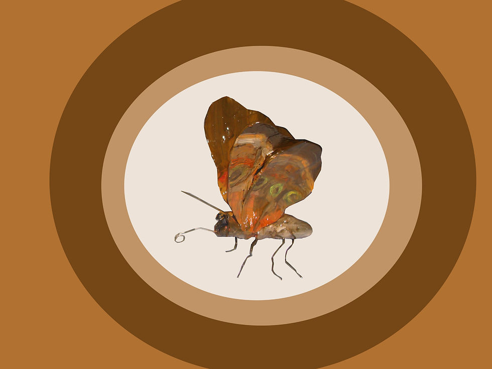 Mariposa