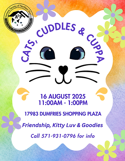 Cats, Cuddles & Cuppa_Aug2025.png