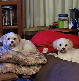 Dolly and Tessa 