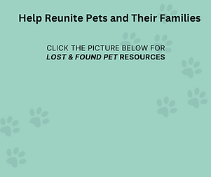 Helping lost Pets .png