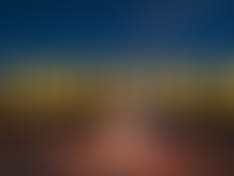 Keeping the Fire Lit