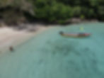 High angle view of Winnifred Beach with palm trees and calm ocean waves at sunset