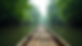 Wide angle view of bamboo raft floating down Rio Grande river surrounded by green forest