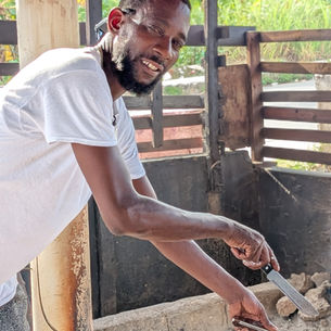 Top 7 Authentic Experiences to Embrace During Your Stay at Great Huts in Portland Jamaica