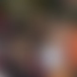 Fantastic Fall Fest - 2025