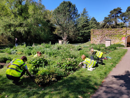 Weeding in Jackwood