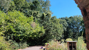 The garden in August, with volunteers