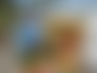 The Traveling Tarotist : Discovering Depths