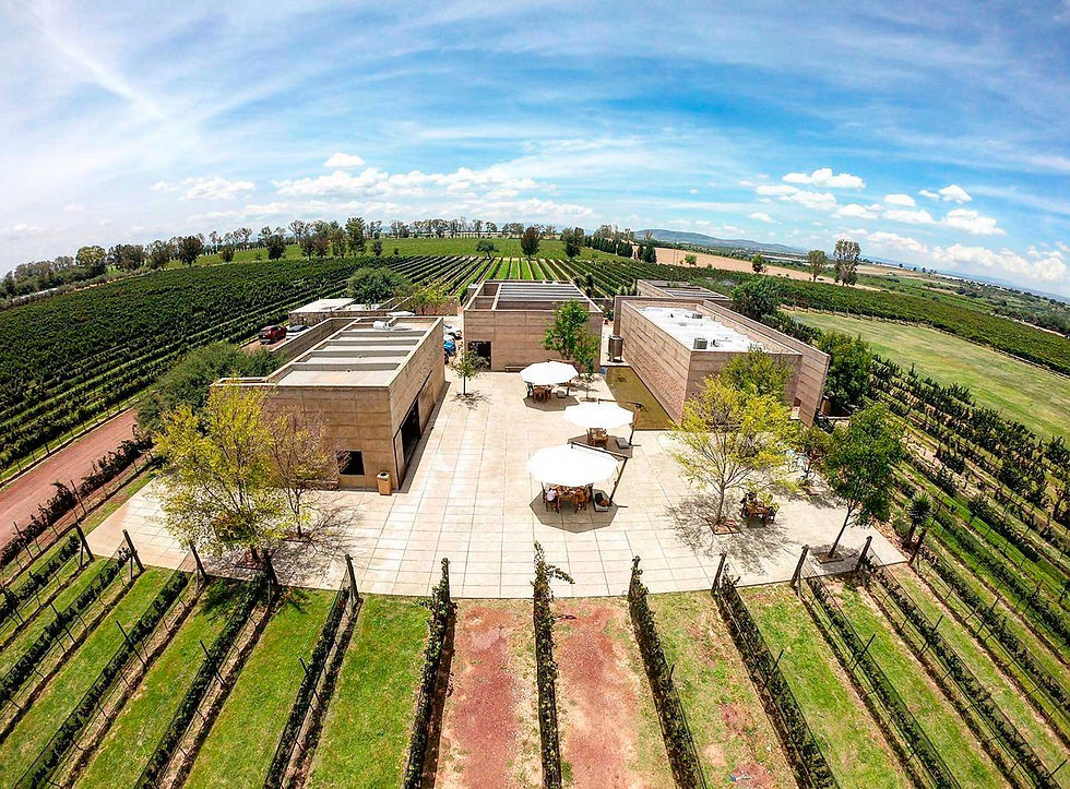 Cuna de Tierra