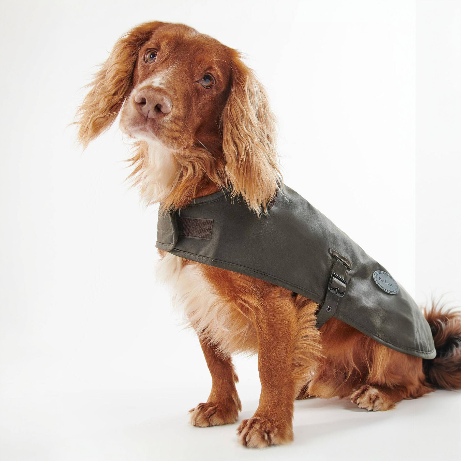 Barbour Waxed Dog Coat