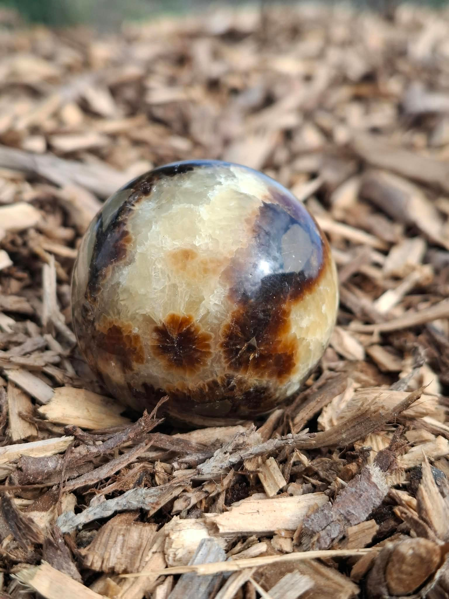 Sphere, Dragon Septarian