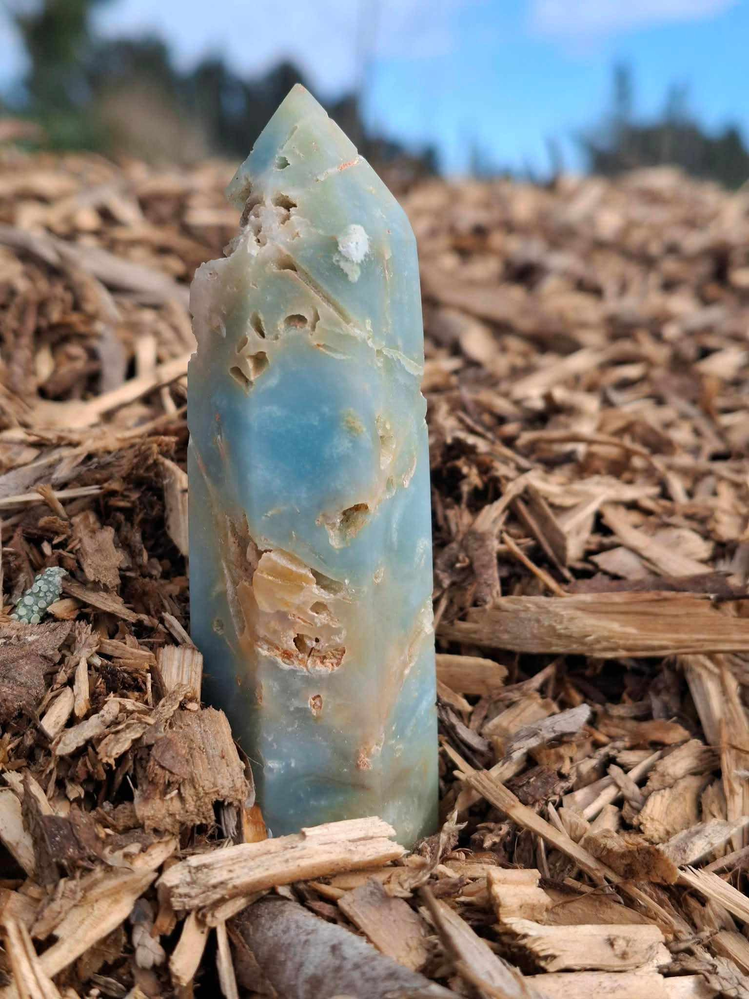 Tower, Caribbean Calcite