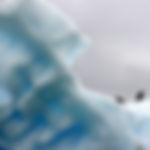 Iceberg