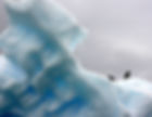 Iceberg