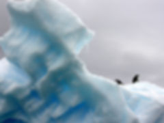 Iceberg