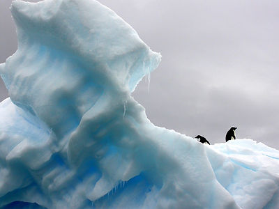 Iceberg