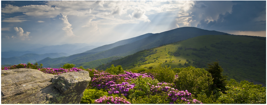 Screenshot 2022-07-26 114737.png