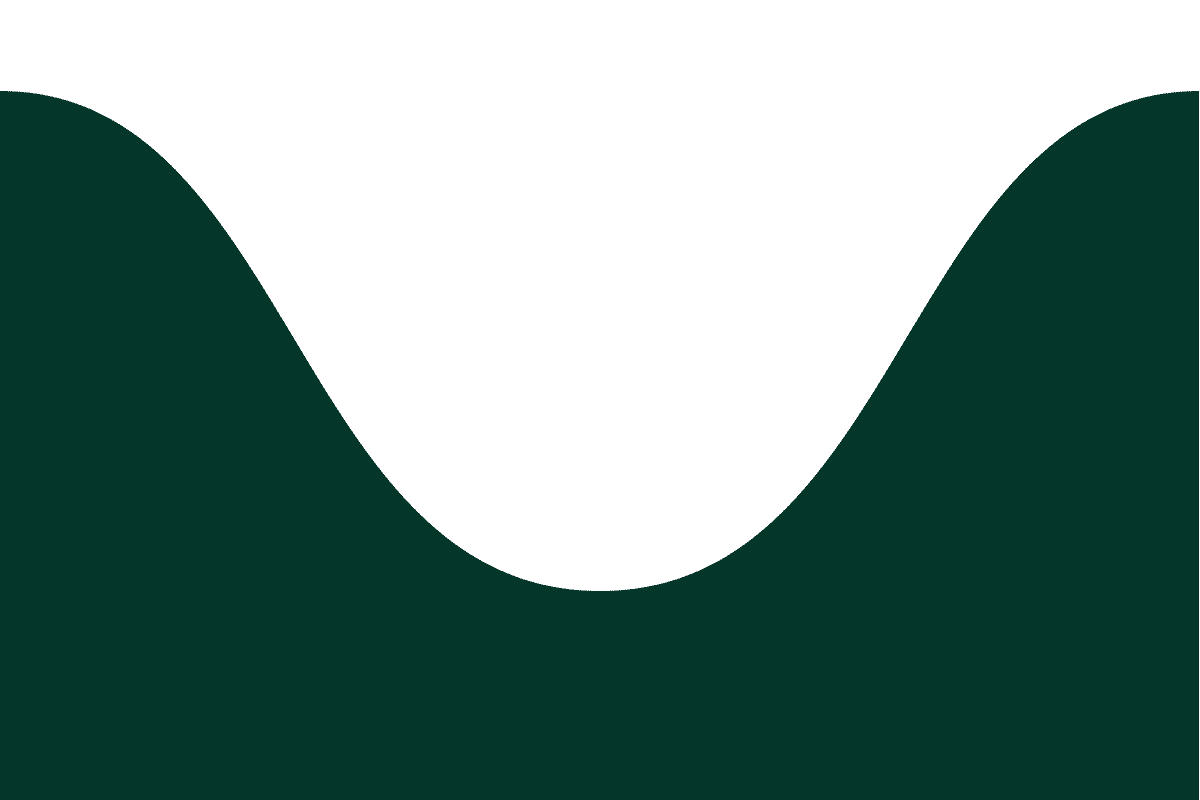 LowTide-Logo-2022-gif.gif
