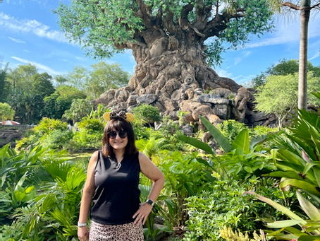 Discover the Magic: Why This Summer Is the Perfect Time to Visit Disney! 😎☀️
