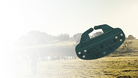 Eberlen Injecao termoplasticos vale dos