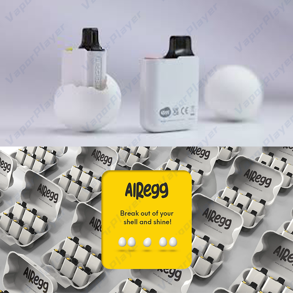 縮圖：Airscream Airegg