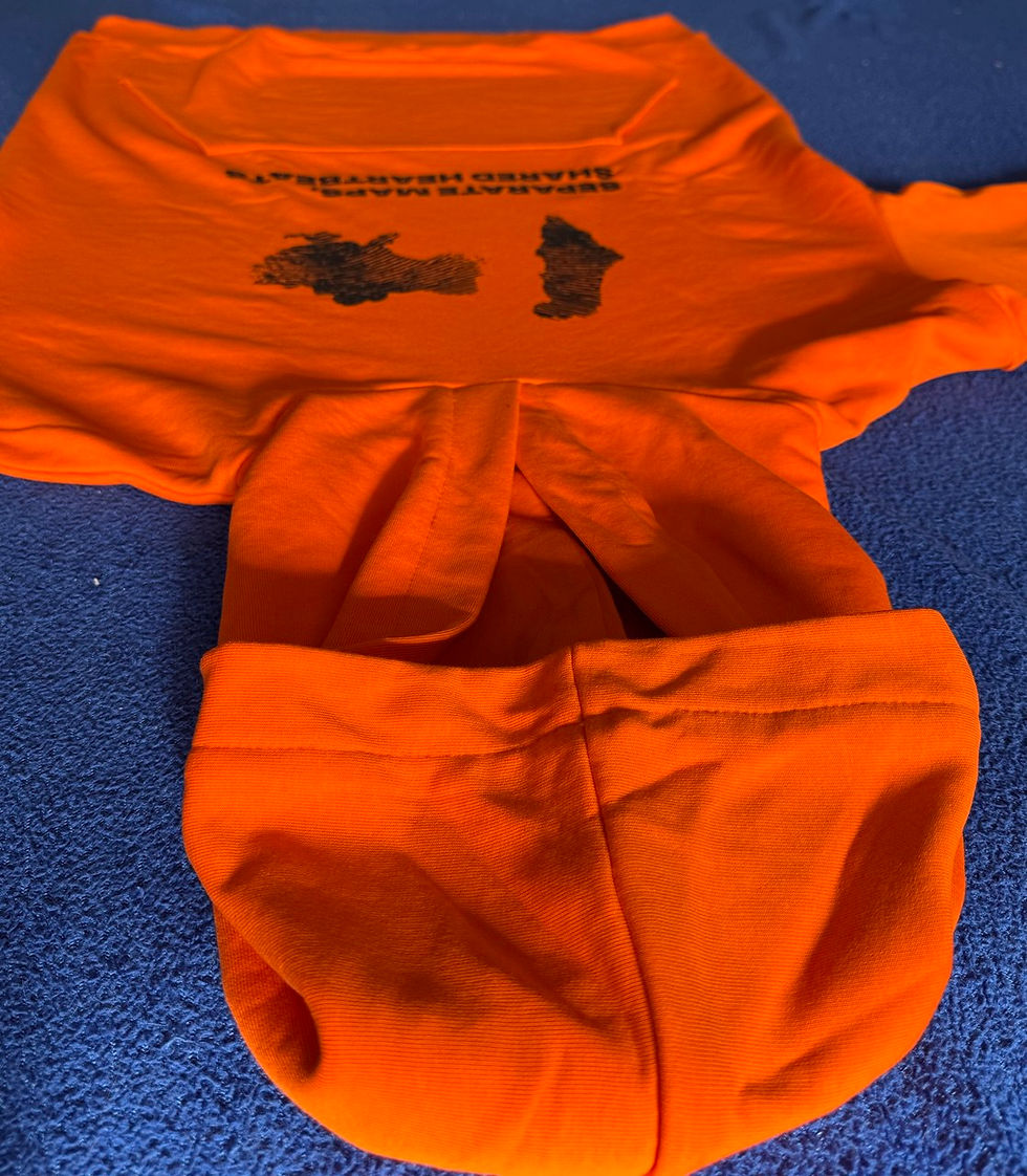 תמונה ממוזערת: Stylish '2 Maps' Hoodie with an Original Design (Black)