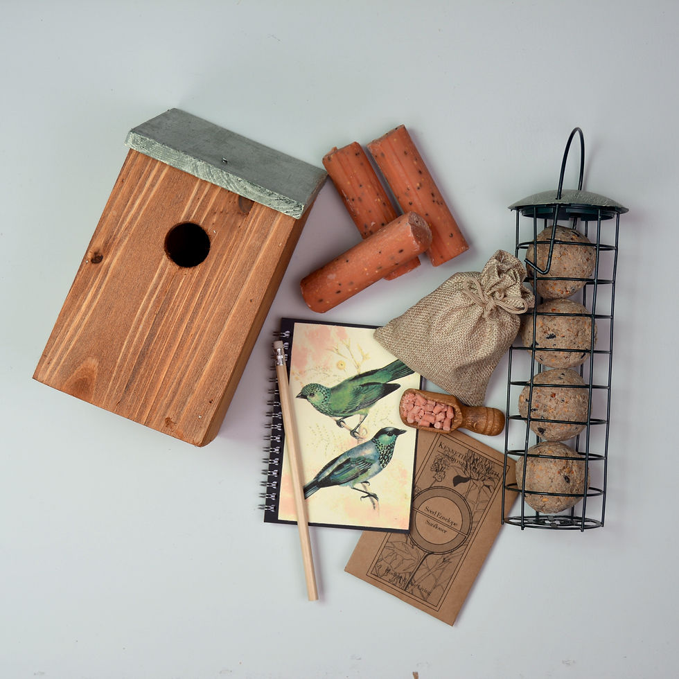 Thumbnail: EDIT - Large green bird house and bird feeder