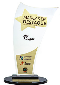 Elisete_FeijoÌ_Advogados_-_PreÌmios-11
