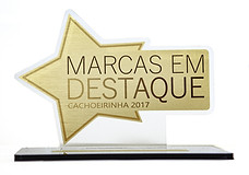 Elisete_FeijoÌ_Advogados_-_PreÌmios-6.