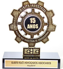 Elisete_FeijoÌ_Advogados_-_PreÌmios-8.