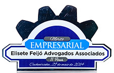 Elisete_FeijoÌ_Advogados_-_PreÌmios-5.