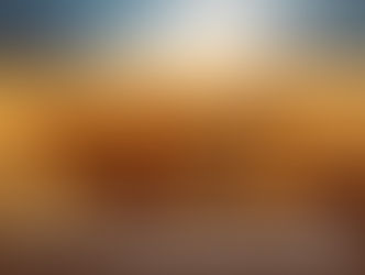 Казахстан стал основным поставщиком в ЕС пшеницы твердых сортов