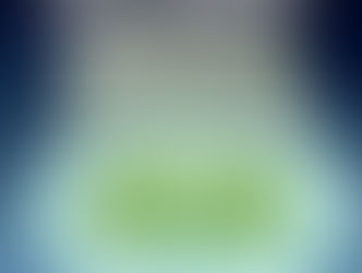 Прямое субсидирование повышает добавленную стоимость примерно на 0,5%