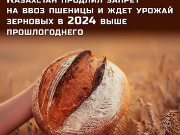 Казахстан продлил запрет на ввоз пшеницы и ждет урожай зерновых в 2024 выше прошлогоднего