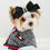 Thumbnail: Black Silky Bow