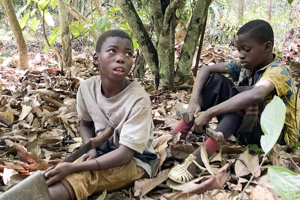 Children from Burkina Faso take a break while working on a cocoa plantation in Ivory Coast in April 2020. (Terrence Collingsworth / Associated Press). Image from article: https://www.latimes.com/business/story/2023-08-15/cocoa-harvested-by-children-child-labor