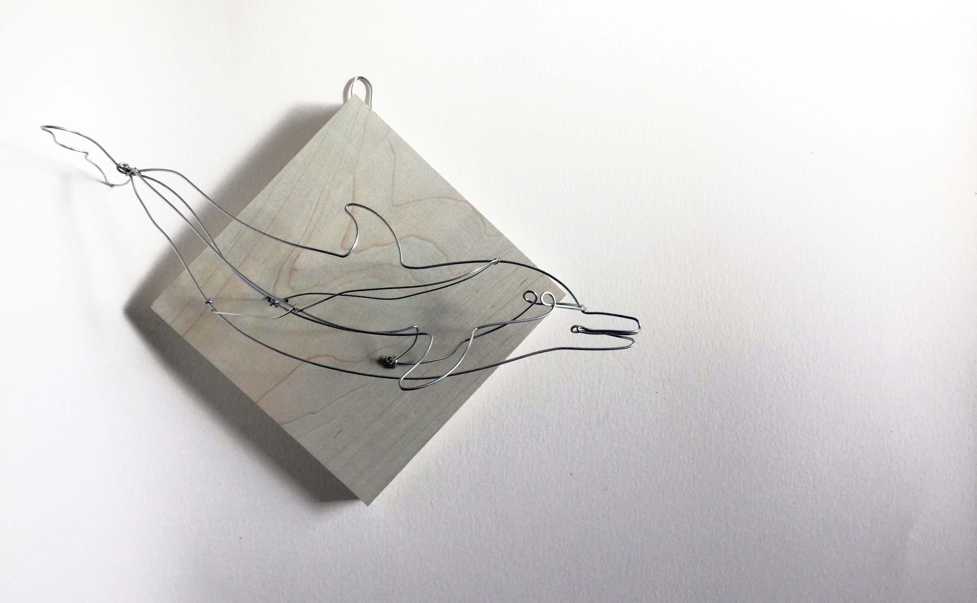 WIRE TAXIDERMY alisonbrynnross
