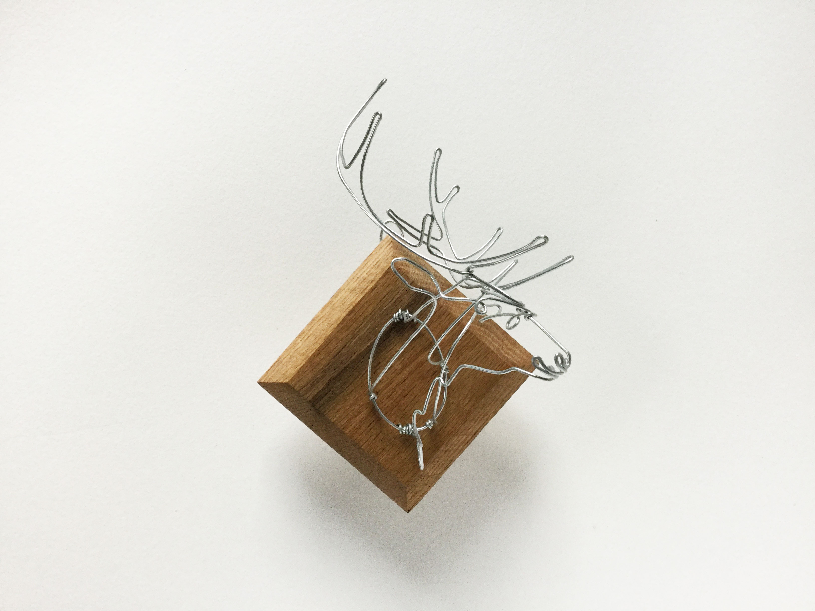 WIRE TAXIDERMY alisonbrynnross