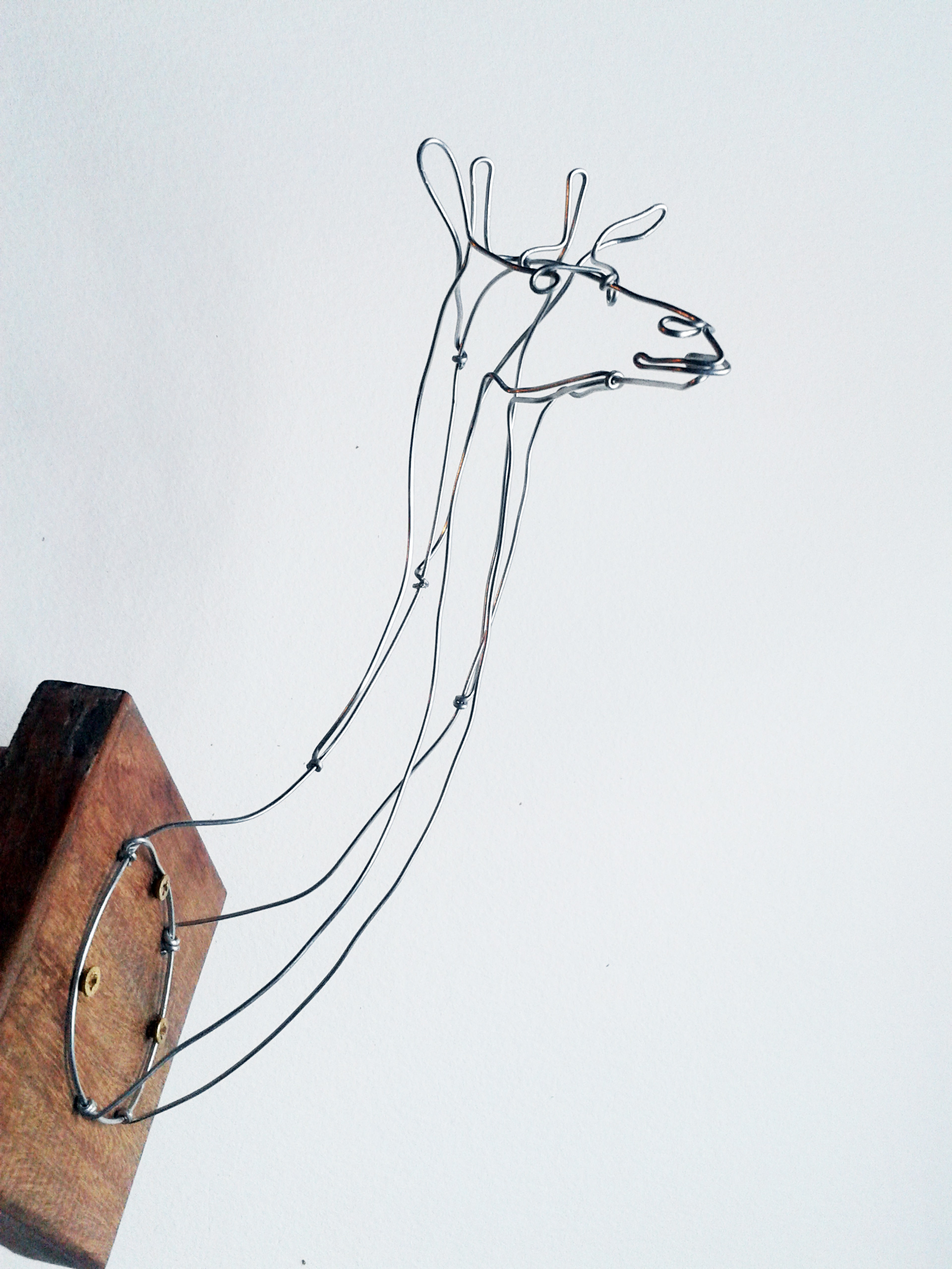 WIRE TAXIDERMY alisonbrynnross