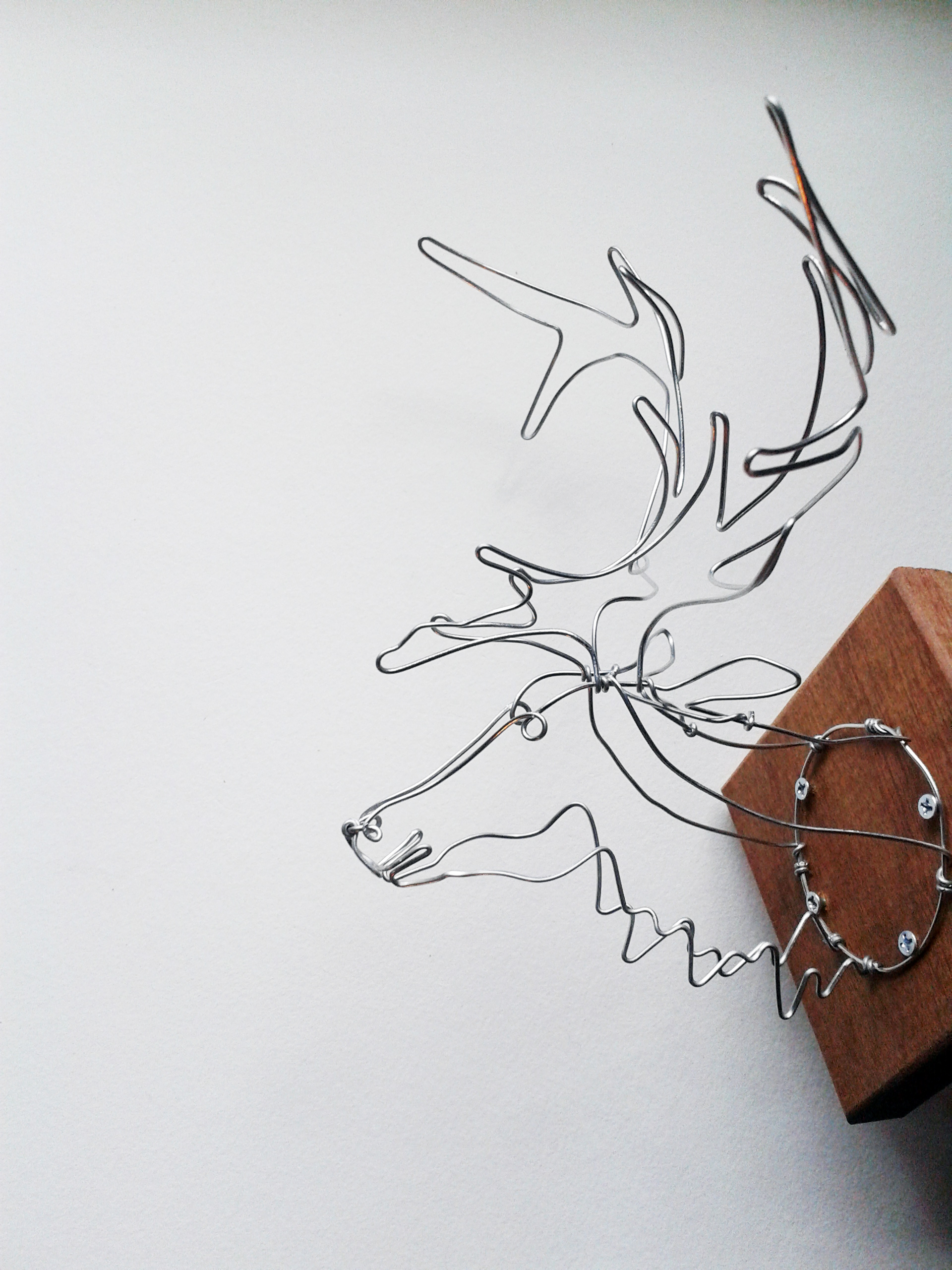 WIRE TAXIDERMY alisonbrynnross