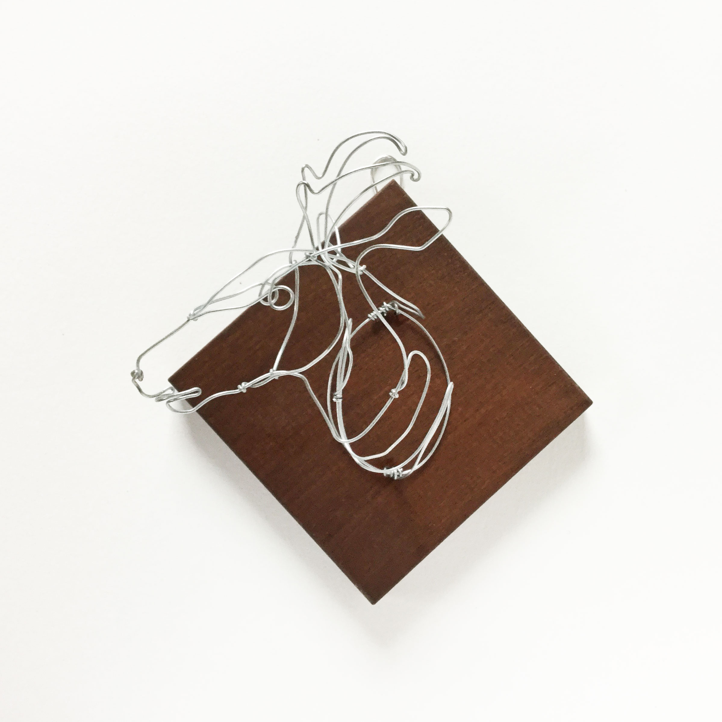 WIRE TAXIDERMY alisonbrynnross