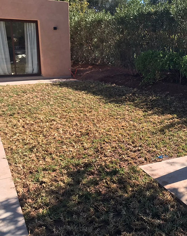 WhatsApp Image 2023-04-24 à 20.36_edited.jpg