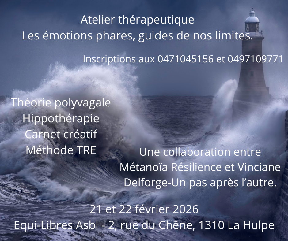 Atelier thérapeutique :Les émotions phares, guides de nos limites.